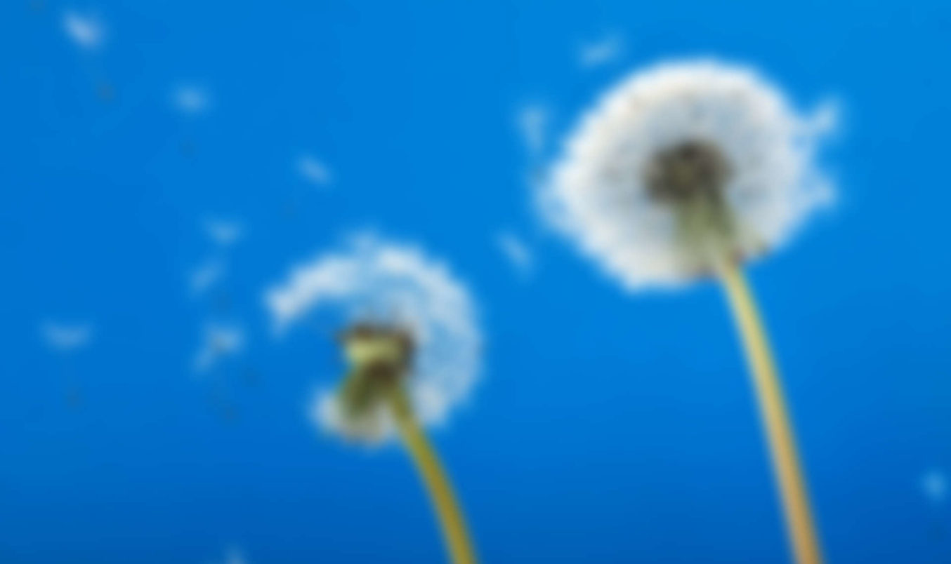 Is Solar or the Wind Better? Martin Water Labs